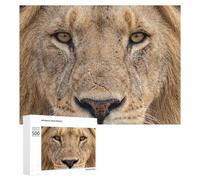 Rompecabezas para Adultos 500 PCS Rompecabezas Lion Face Close-Up Juego De Ingenio con Rompecabezas, Divertido Y Humorístico, 500 PCS