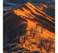Rompecabezas para Adultos 80 Piezas Paisaje de Excursionista del Desierto Puzzle Adultos,Entretenimiento Creativo Diversión,Decoración Familiar,Regalo para la Relajación