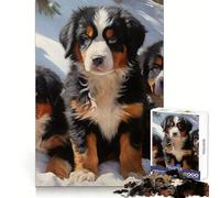 Rompecabezas para Adultos con diseño de Perro de montaña bernés en otoño, 1000 Piezas, para desarrollar la Memoria, Relajarse, divertirse y sentirse Seguro (50x75cm)