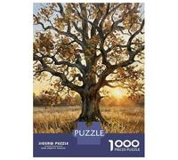 Rompecabezas para Adultos De 1000 Piezas Autumn Oak Tree at Sunset Rompecabezas para Adultos Juegos Familiares Vacaciones En Casa Matar El Tiempo para Cumpleaños, Navidad 70x50cm/1000pcs