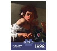 Rompecabezas para Adultos De 1000 Piezas Boy Bitten by A Lizard Rompecabezas para Adultos Juego De Ingenio Regalo De Cumpleaños Desafío Educativo 38x26cm/1000pcs