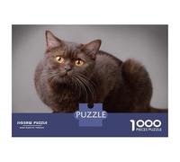 Rompecabezas para Adultos De 1000 Piezas British Shorthair Cat Rompecabezas para Adultos Juegos Relajantes Decoración Cumpleaños 70x50cm/1000pcs