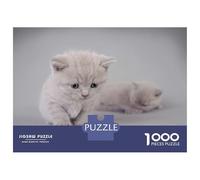 Rompecabezas para Adultos De 1000 Piezas British Shorthair Kitten Rompecabezas para Adultos Juegos Relajantes Decoración del Hogar Desafío Educativo 70x50cm/1000pcs