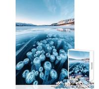 Rompecabezas para Adultos de 1000 Piezas: Burbujas de metano congeladas en el Lago Abraham Juguete Educativo Regalo de cumpleaños para Juegos educativos Mejora el Amor Entre Parejas Tamaño 38x52cm