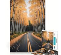 Rompecabezas para Adultos de 1000 Piezas Camino de otoño a través de un Bosque de abedules,Naturaleza,Juego Limpio y Divertido para Pensar,Tiempo de Juego Relajante,Actividad de cumpleaños (50x75cm)