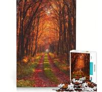 Rompecabezas para Adultos de 1000 Piezas: Camino en el Bosque otoñal en un Ambiente cálido Ideal para decoración de Pared, interacción Entre Padres e Hijos cumpleaños 38x52cm