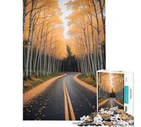 Rompecabezas para Adultos de 1000 Piezas Camino otoñal a través de un Bosque de abedules Rompecabezas Divertidos y difíciles cumpleaños y Navidad (tamaño 38x52cm)