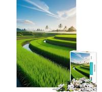Rompecabezas para Adultos de 1000 Piezas Campo de arroz al Amanecer Ayuda a ejercitar el Cerebro Decoración Juegos Divertidos para Mayores de 14 años (38x52cm)