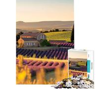 Rompecabezas para Adultos de 1000 Piezas Campos de Lavanda dificultad difícil y desafiante Juegos Divertidos para Mayores de 14 años (38x52cm)