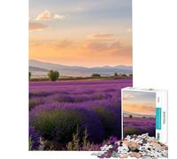 Rompecabezas para Adultos de 1000 Piezas Campos de Lavanda para Juegos educativos Juegos Familiares desafío difícil Ideas de Regalo (tamaño 38x52cm)