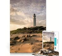 Rompecabezas para Adultos de 1000 Piezas Caos De Meca Cdiz Exact Edge Art Creative Skill Toy Cozy Time Game Christmas Art Piece (50x75cm)