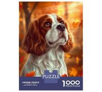 Rompecabezas para Adultos De 1000 Piezas Cavalier King Charles Spaniel Autumn Portrait Rompecabezas para Adultos Juego De Ingenio Análisis Y Lógica Cumpleaños Y Navidad 70x50cm/1000p