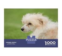 Rompecabezas para Adultos De 1000 Piezas Chinese Crested Dog Rompecabezas para Adultos Juegos Relajantes Decoración Cumpleaños 52x38cm/1000pcs