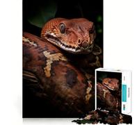 Rompecabezas para Adultos de 1000 Piezas con Retrato de Boa Constrictor,Bordes Bien definidos,Juguete para ejercitar la Mente,diversión fácil,decoración navideña 38x26cm