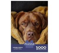 Rompecabezas para Adultos De 1000 Piezas Cozy Brown Labrador Retriever Portrait Rompecabezas para Adultos Juego Práctico Análisis Y Lógica Gran Regalo para Los Amantes De Los Juegos 38x26cm/1000pcs