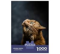 Rompecabezas para Adultos De 1000 Piezas Curious Ginger Cat Rompecabezas para Adultos Juegos Relajantes Análisis Y Lógica Regalos para Amigos Y Familiares 38x26cm/1000pcs