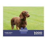 Rompecabezas para Adultos De 1000 Piezas Dachshund Dog Rompecabezas Juego De Ingenio Regalos para Mujeres Regalos De Juegos Desafiantes 70x50cm/1000pcs