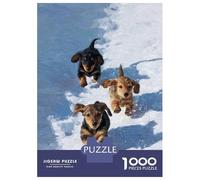 Rompecabezas para Adultos De 1000 Piezas Dachshund Puppies Running in Snow Rompecabezas para Adultos Juego Práctico Oferta De Regalo De Cumpleaños como Regalos para Toda La Familia 70x50cm/1000pcs