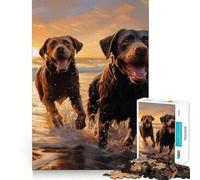 Rompecabezas para Adultos de 1000 Piezas Dos labradores en la Playa Juego Divertido para concentrarse en la Mente Juego Casual Regalo Ideal para cumpleaños (38x26cm)