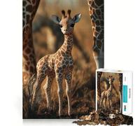 Rompecabezas para Adultos de 1000 Piezas Jirafa bebé en la Sabana,Corte, Juguete Divertido para ejercitar la Mente,Juego Tranquilo,Regalo Divertido de cumpleaños (50x75cm)