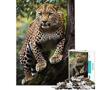 Rompecabezas para Adultos de 1000 Piezas Leopardo en un árbol del Bosque difícil y desafiante Juguete difícil Decoración de Pared para Mayores de 14 años (38x52cm)