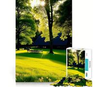 Rompecabezas para Adultos de 1000 Piezas Lonely Is The Bench (La Soledad es el Banco),Juego de precisión Mental,Juego Lento,Divertido,Regalo de cumpleaños (50x75cm)