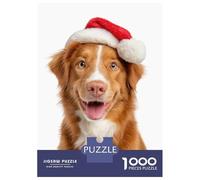 Rompecabezas Para Adultos De 1000 Piezas Nova Scotia Duck Tolling Retriever Dog with Santa Hat Portrait Rompecabezas Para Adultos Juego De Ingenio Regalo De Cumpleaños Desafío Educativo 70x50cm/1000pc