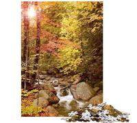 Rompecabezas para Adultos de 1000 Piezas Nueva Inglaterra en otoño Rompecabezas para Adultos Carrera de Velocidad Manual Cada Pieza es única Juguetes educativos (75x50cm)