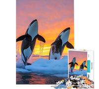 Rompecabezas para Adultos de 1000 Piezas Orcas Saltando al Atardecer en Aguas heladas Juego de ingenio Juguete Educativo Regalo de cumpleaños para Mujeres (tamaño 75x50cm)