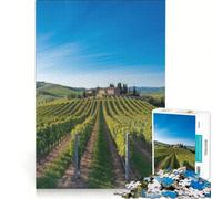 Rompecabezas para Adultos de 1000 Piezas Paisaje de viñedo Toscano bajo Cielo Azul Juego práctico Actividades Divertidas para Hacer en casa Un Regalo Ideal para los Amantes de los Juegos 38x52cm