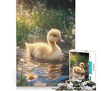 Rompecabezas para Adultos de 1000 Piezas: Patito Adorable en un Estanque Juegos relajantes y Actividades Divertidas para Hacer en casa Incluye póster y Hoja de Preguntas a Juego 38x52cm