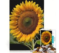 Rompecabezas para Adultos de 1000 Piezas Primer Plano de la Belleza del Girasol decoración de Pared Regalo de cumpleaños para Fortalecer el Amor Entre Parejas 50x75cm