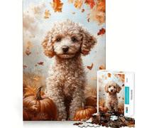 Rompecabezas para Adultos de 1000 Piezas Retrato de caniche otoñal con Calabazas Decoración de fácil Montaje Juego Estimulante para un rato Agradable Regalo Ideal para cumpleaños (38x52cm)