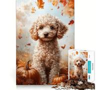 Rompecabezas para Adultos de 1000 Piezas Retrato de caniche otoñal con Calabazas Diseño de Corte preciso Juego de lógica y Habilidad Relájate Regalo Ideal para cumpleaños (50x75cm)