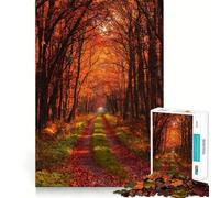 Rompecabezas para Adultos de 1000 Piezas,Sendero del Bosque otoñal,articulaciones afiladas,Juego de desafío Mental,Juguete para Momentos de diversión y relajación,decoración navideña para el hogar