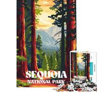 Rompecabezas para Adultos de 1000 Piezas Sendero Sequoia Sunset Difícil y desafiante Juego Educativo práctico para Mayores de 14 años (38x26cm)