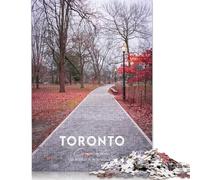 Rompecabezas para Adultos de 1000 Piezas, Toronto, 5 Piezas, Juguetes educativos, Juegos, decoración Familiar (75 x 50 cm)