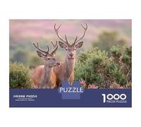 Rompecabezas para Adultos De 1000 Piezas Two Red Deer in A Field Rompecabezas para Adultos Juegos Familiares Decoración Perfecta Cumpleaños Y Navidad 38x26cm/1000pcs