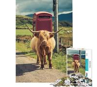 Rompecabezas para Adultos de 1000 Piezas Vaca de Las Tierras Altas Isla de Mull Un Reto para completar Juego práctico y difícil Apto para Mayores de 14 años 38x26cm