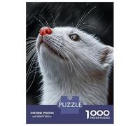 Rompecabezas para Adultos De 1000 Piezas White Ferret Looking Up in Rain Rompecabezas para Adultos Juegos Relajantes Decoración Cumpleaños 52x38cm/1000pcs