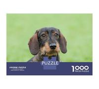 Rompecabezas para Adultos De 1000 Piezas Wirehaired Dachshund Dog Rompecabezas Antiestrés Juguetes Divertidos Y Humorísticos Actividades Divertidas En Casa, 52x38cm/1000pcs