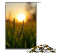 Rompecabezas para Adultos El rocío de la mañana Brilla en la Hierba 1000 Piezas Rompecabezas de Madera para Adultos y niños a Partir de 12 años 1000 Piezas (75 x 50 cm)