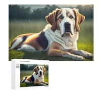 Rompecabezas para Adultos1000 PCS Golden Retriever in Sunlight Rompecabezas para Adultos Juego De Ingenio Regalo De Cumpleaños para Cumpleaños, Navidad 1000 PCS