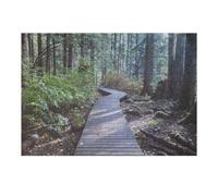 Rompecabezas para Adultos1000pcs(38x26cm) Path to The Forest Canada Rompecabezas para Adultos Juego De Ingenio para La Diversión Familiar Regalos para Reducir El Estrés 1000pcs(38x26cm)