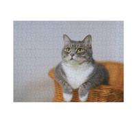 Rompecabezas para Adultos1000pcs(52x38cm) Gray Tabby Cat in Basket Rompecabezas Juegos Relajantes Decoración Perfecta Cumpleaños Y Navidad 1000pcs(52x38cm)