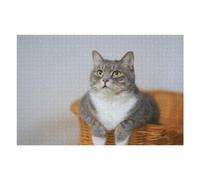 Rompecabezas para Adultos1000pcs(75x50cm) Gray Tabby Cat in Basket Rompecabezas para Adultos Juegos Relajantes Vacaciones En Casa Matar El Tiempo para Cumpleaños, Navidad 1000pcs(75x50cm)