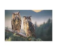 Rompecabezas para Adultos1000pcs(75x50cm) Two Owls on A Branch Rompecabezas para Adultos Juegos Divertidos Pero Divertidos Y Humorísticos Actividades Divertidas En Casa 1000pcs(75x50cm)