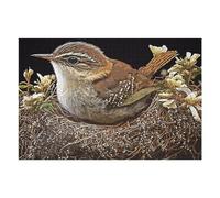 Rompecabezas para Adultos1000pcs(75x50cm) Vintage Birds Nest Rompecabezas para Adultos Juegos Relajantes Vacaciones En Casa Matar El Tiempo para Cumpleaños, Navidad 1000pcs(75x50cm)