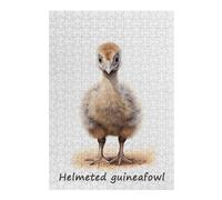 Rompecabezas para Adultos38x26cm/1000pcs Helmeted Guineafowl Rompecabezas para Adultos Juego De Ingenio Carrera De Velocidad Manual Regalos Y Cumpleaños Únicos 38x26cm/1000pcs