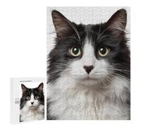 Rompecabezas para Adultos500 PCS Black & White Fluffy Cat Rompecabezas para Adultos Juego De Ingenio Análisis Y Lógica Regalos para Reducir El Estrés 500 PCS